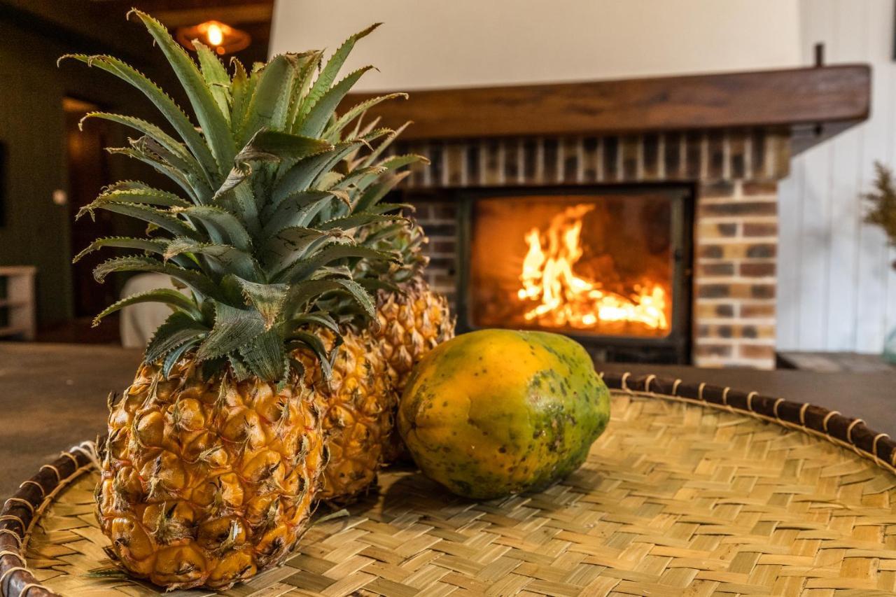 Magnifique Villa Creole Villa Ti Bout Bois Avec Cheminee Au Tevelave Les Avirons Ngoại thất bức ảnh
